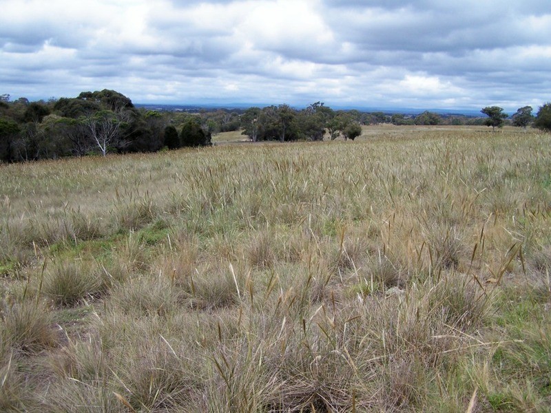 154 Fernleigh  Close, Windellama NSW 2580