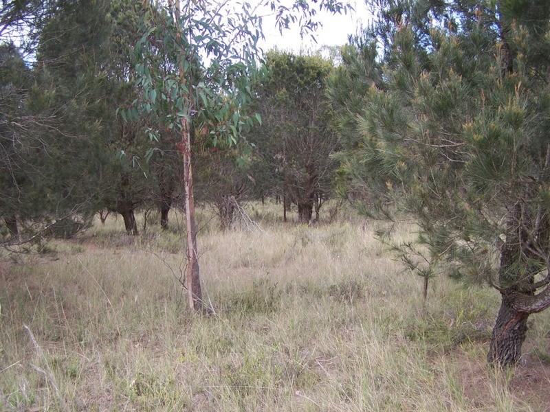 154 Fernleigh  Close, Windellama NSW 2580