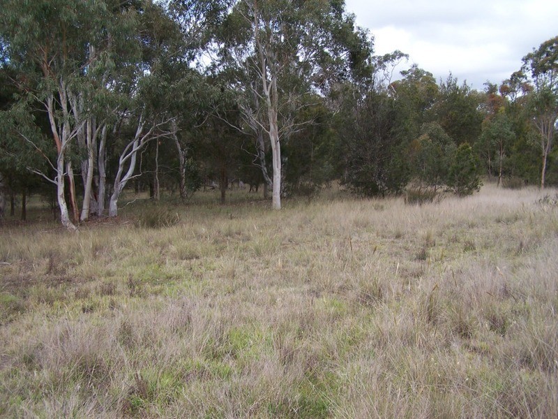 154 Fernleigh  Close, Windellama NSW 2580