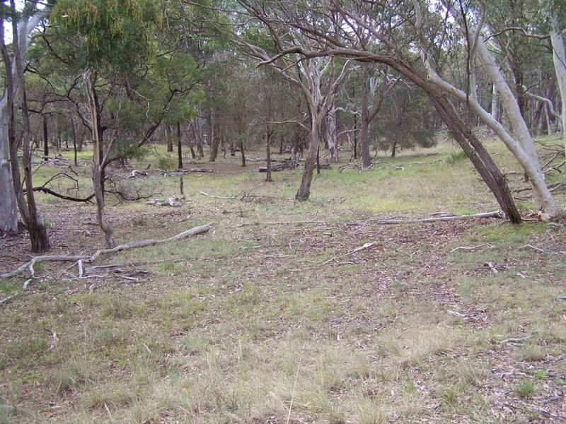 154 Fernleigh  Close, Windellama NSW 2580