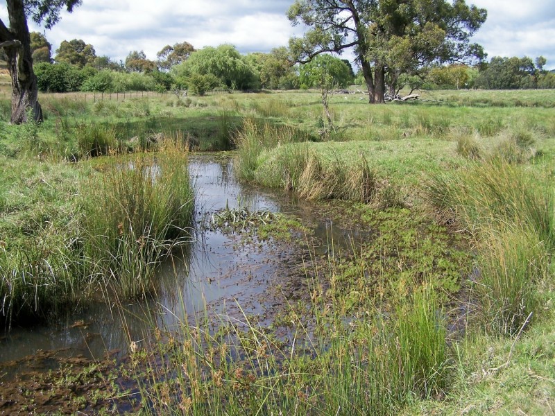 Lot 52 McDonald Street, Crookwell NSW 2583