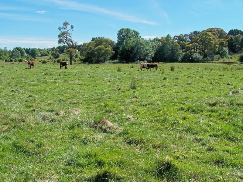 Lot 52 McDonald Street, Crookwell NSW 2583