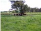 Lot 52 McDonald Street, Crookwell NSW 2583