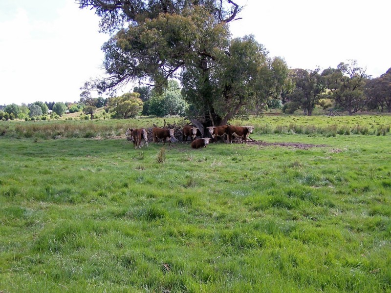 Lot 52 McDonald Street, Crookwell NSW 2583