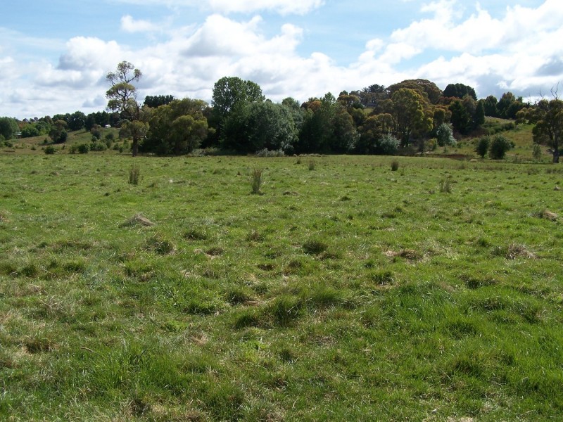 Lot 52 McDonald Street, Crookwell NSW 2583
