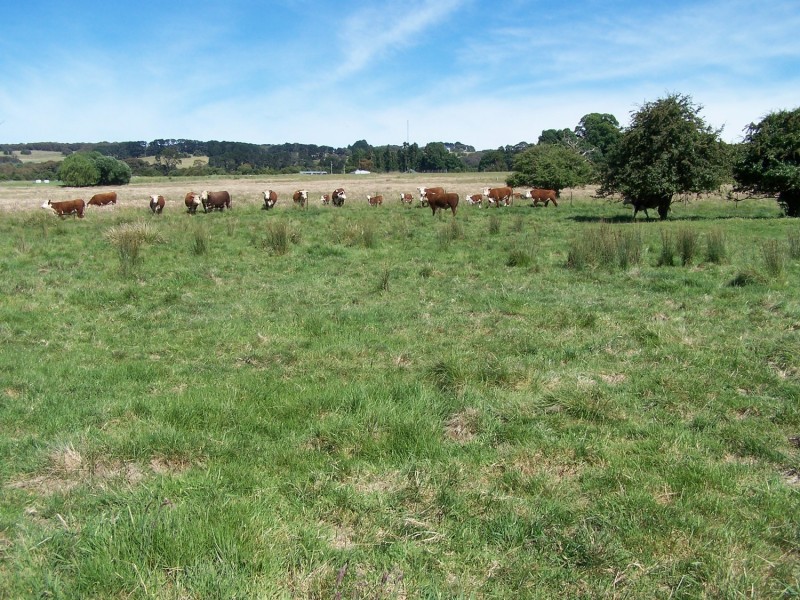 Lot 52 McDonald Street, Crookwell NSW 2583