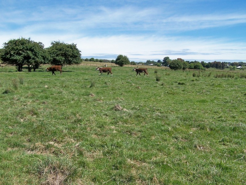 Lot 52 McDonald Street, Crookwell NSW 2583