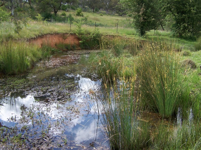 Lot 52 McDonald Street, Crookwell NSW 2583