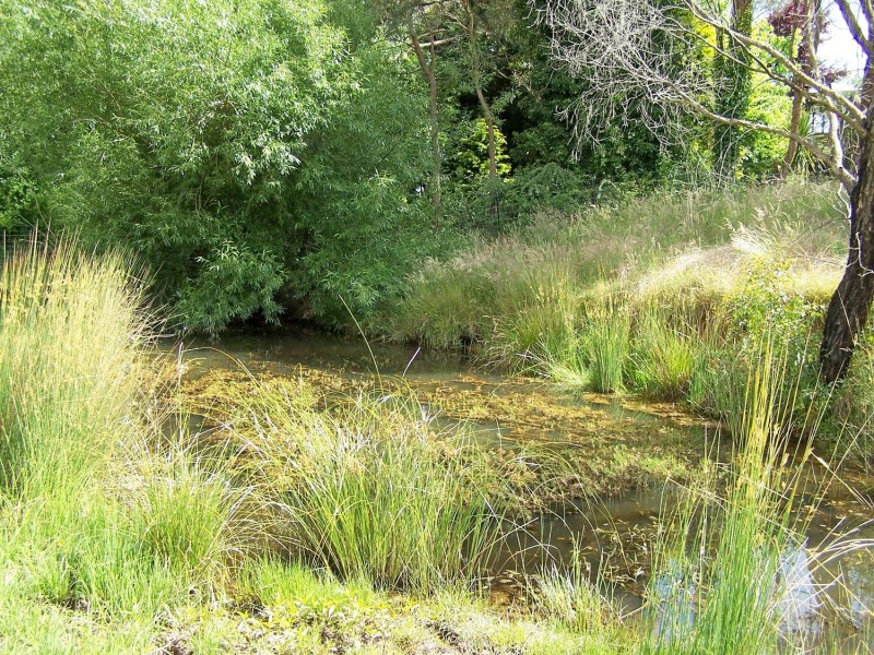 Lot 52 McDonald Street, Crookwell NSW 2583