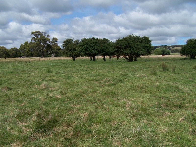 Lot 52 McDonald Street, Crookwell NSW 2583