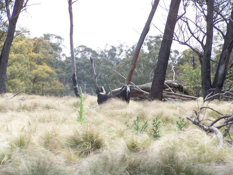 138 Garmoran Valley Road, Marulan NSW 2579