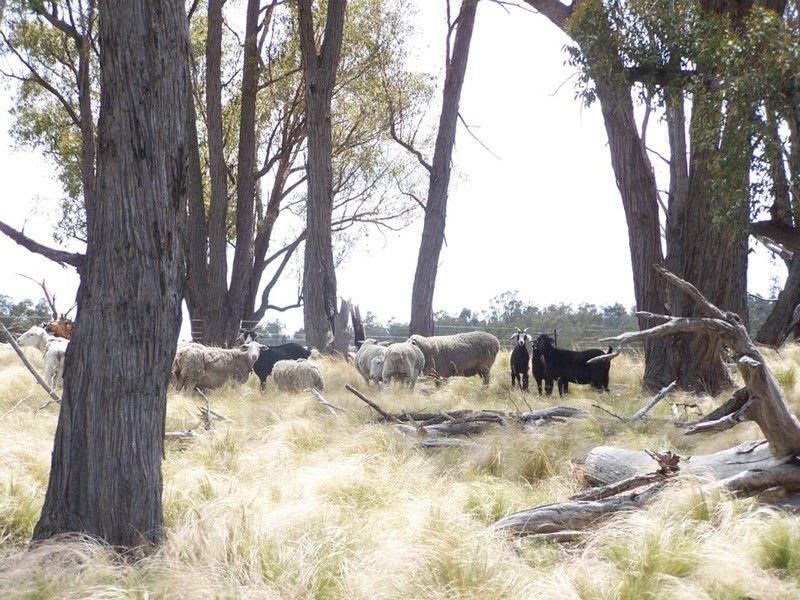 138 Garmoran Valley Road, Marulan NSW 2579