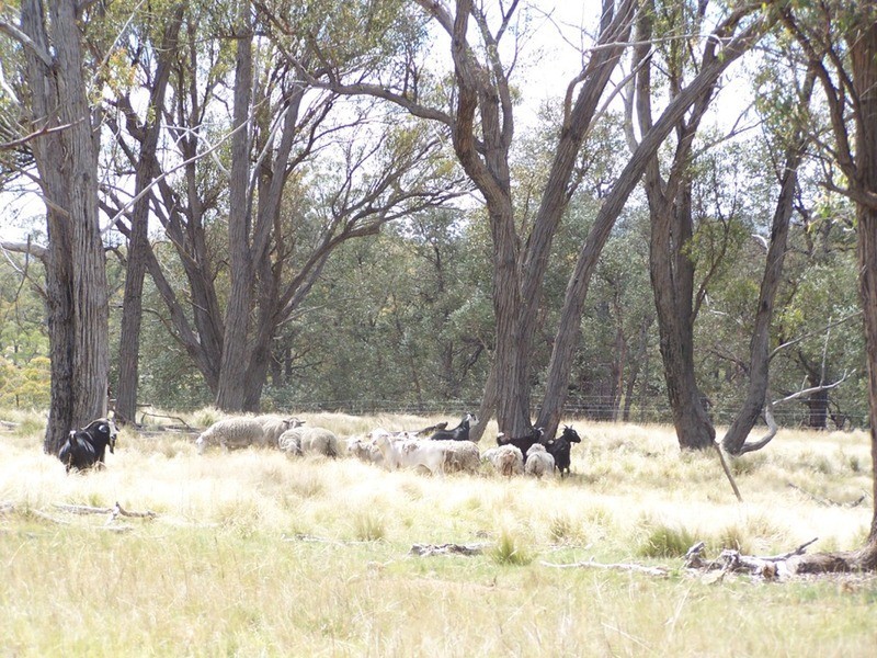 138 Garmoran Valley Road, Marulan NSW 2579