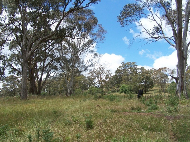 Lot 3 Redground Heights Road, Crookwell NSW 2583