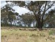 Lot 3 Redground Heights Road, Crookwell NSW 2583