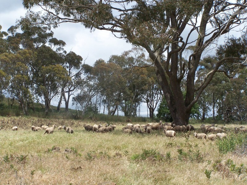 Lot 3 Redground Heights Road, Crookwell NSW 2583