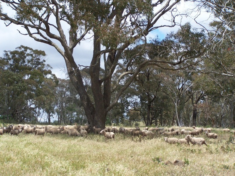 Lot 3 Redground Heights Road, Crookwell NSW 2583