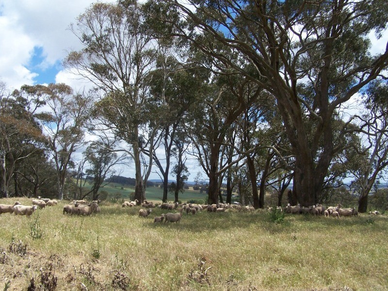 Lot 3 Redground Heights Road, Crookwell NSW 2583