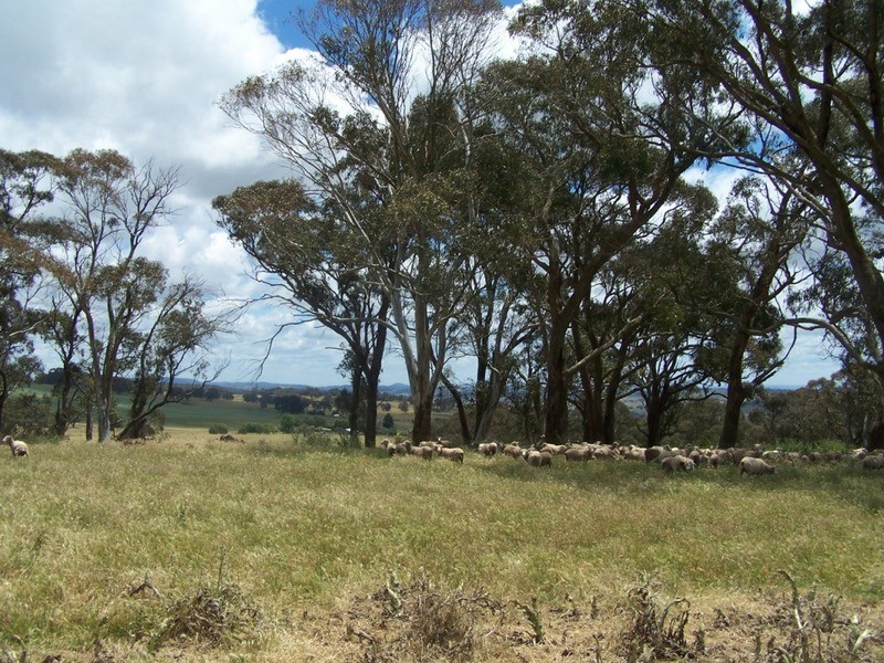 Lot 3 Redground Heights Road, Crookwell NSW 2583