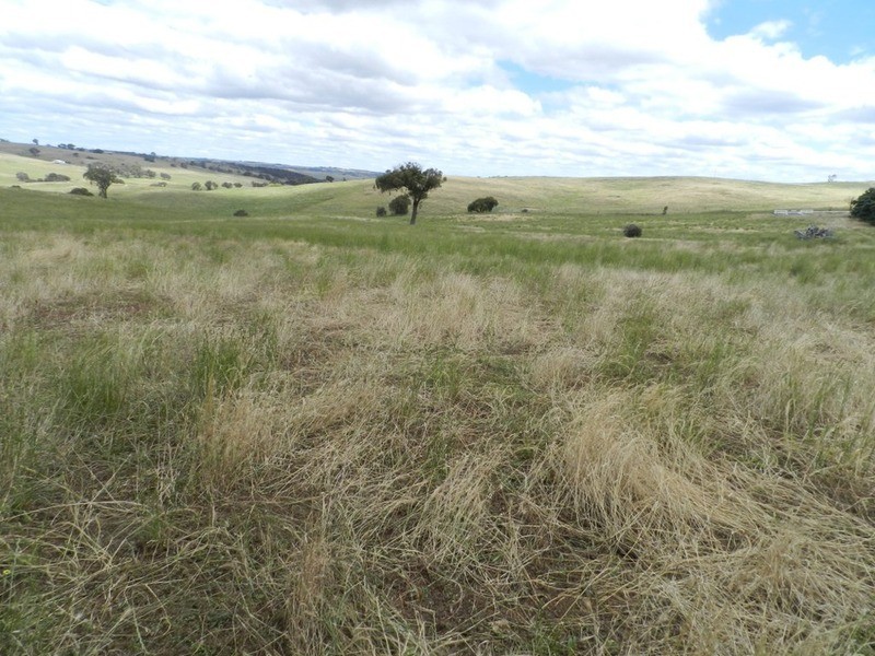 Lot 6 Pejar  Road, Goulburn NSW 2580