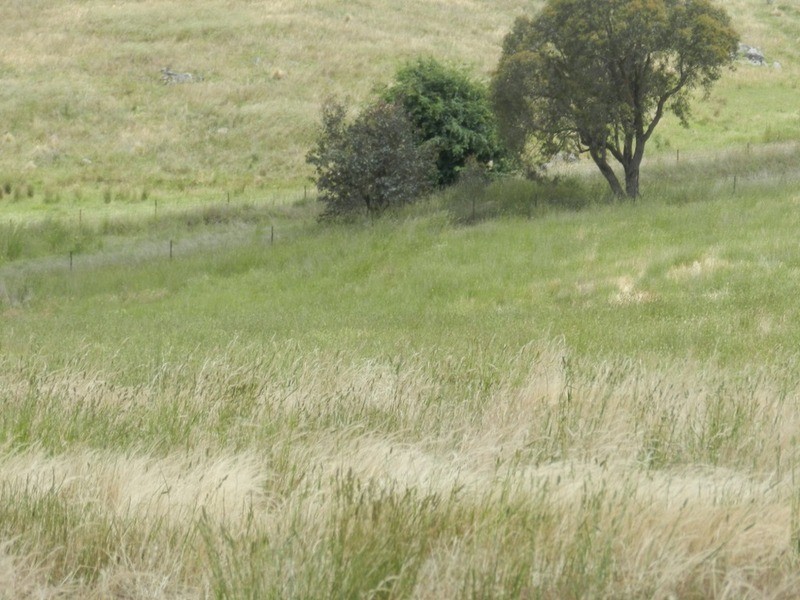 Lot 6 Pejar  Road, Goulburn NSW 2580
