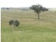 Lot 6 Pejar  Road, Goulburn NSW 2580