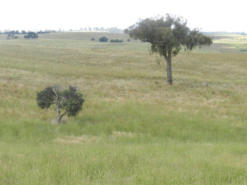Lot 6 Pejar  Road, Goulburn NSW 2580