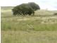 Lot 6 Pejar  Road, Goulburn NSW 2580