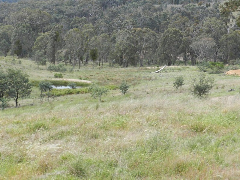 1404 Kangaloolah Road, Binda NSW 2583