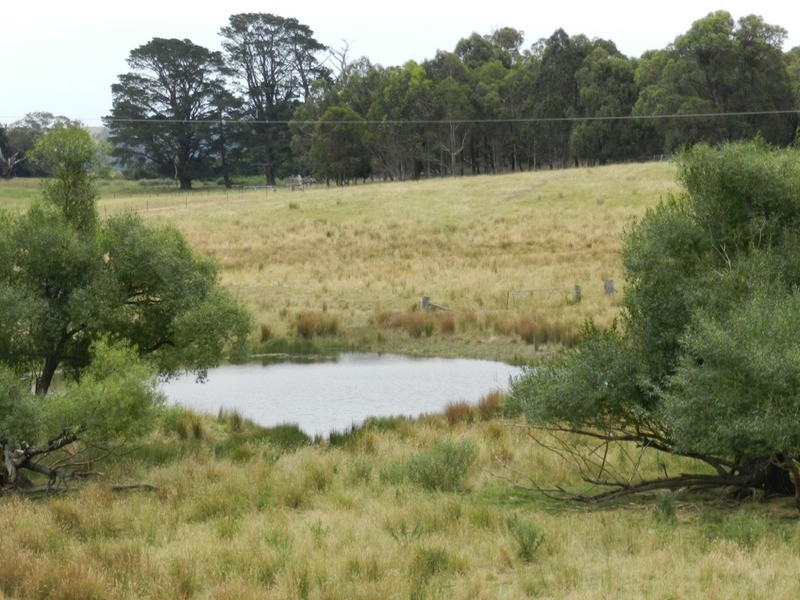 “Woodlands” Bannister Lane, Gurrundah NSW 2581