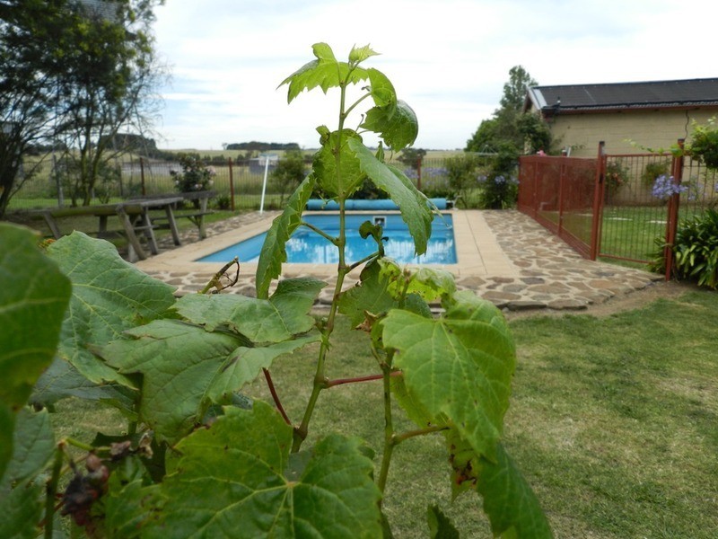 “Woodlands” Bannister Lane, Gurrundah NSW 2581