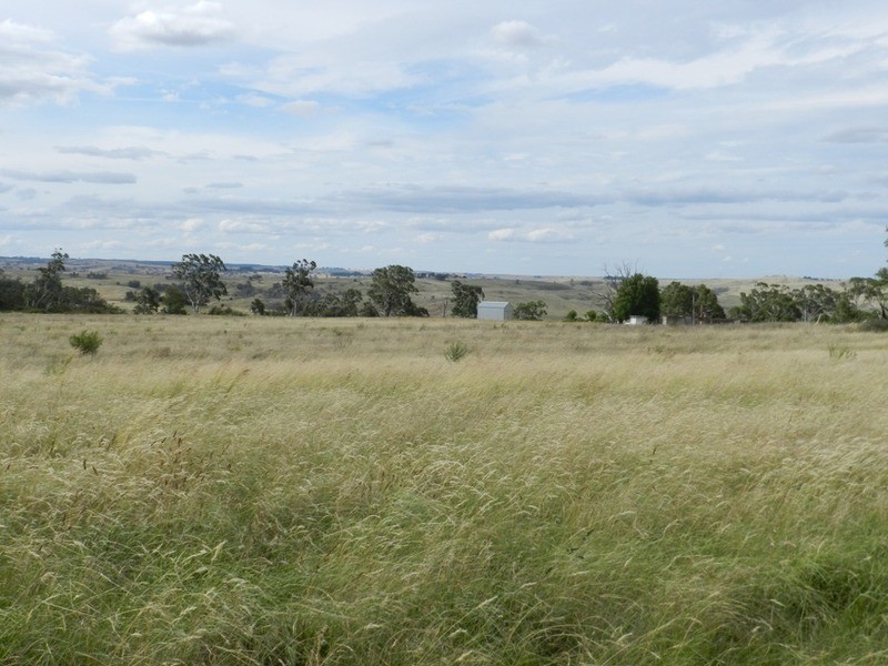 397 Chapman  Lane, Tarlo NSW 2580