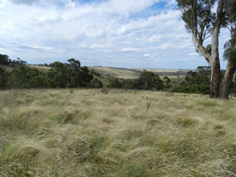 397 Chapman  Lane, Tarlo NSW 2580