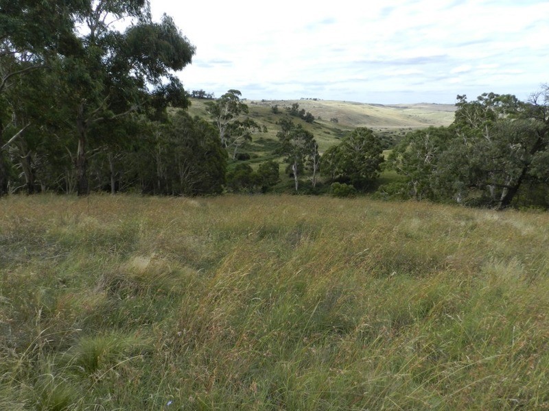 397 Chapman  Lane, Tarlo NSW 2580