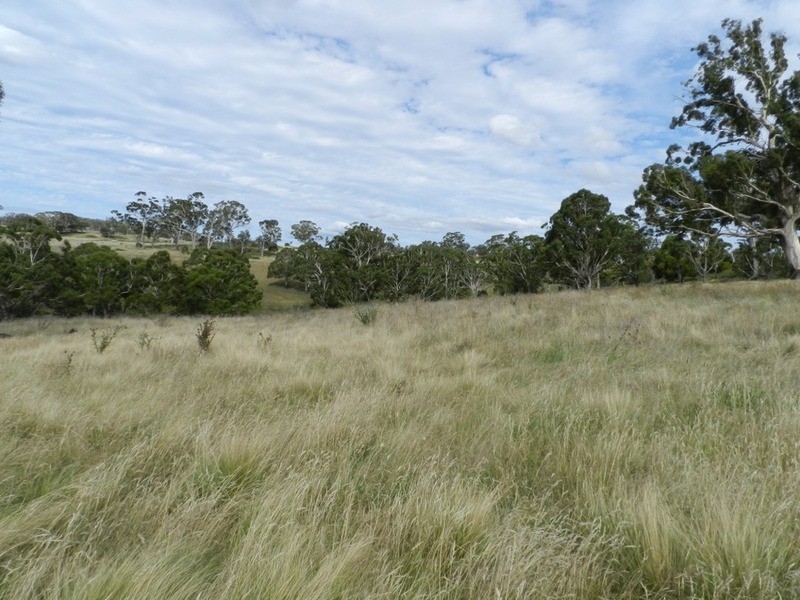 397 Chapman  Lane, Tarlo NSW 2580