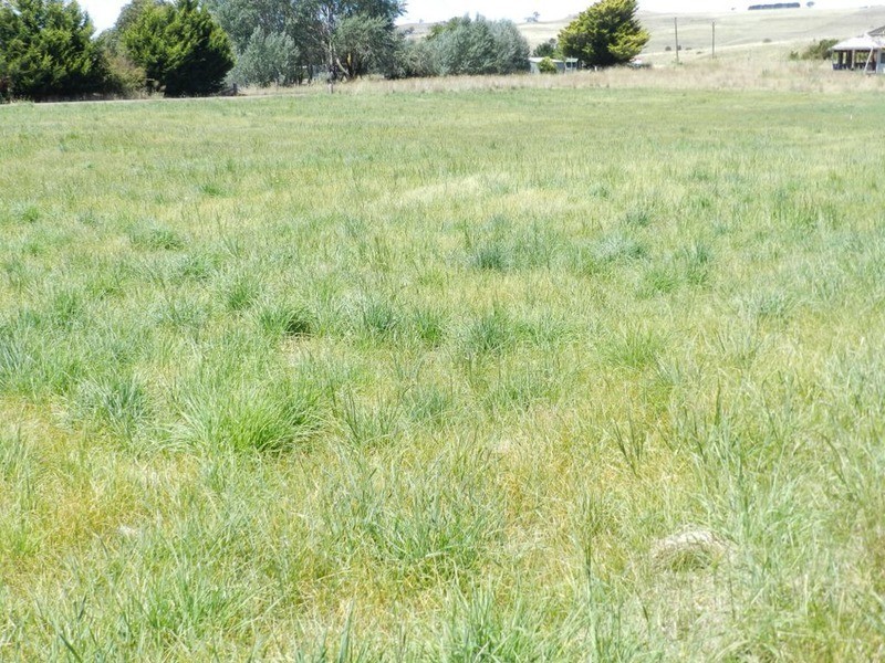 Lot 2 Macarthur Street, Taralga NSW 2580