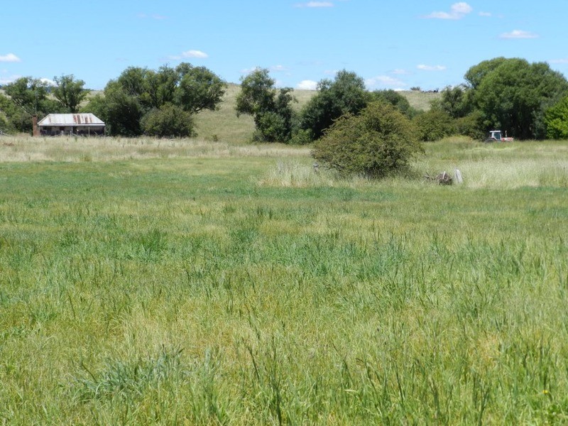 Lot 2 Macarthur Street, Taralga NSW 2580