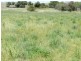 Lot 2 Macarthur Street, Taralga NSW 2580