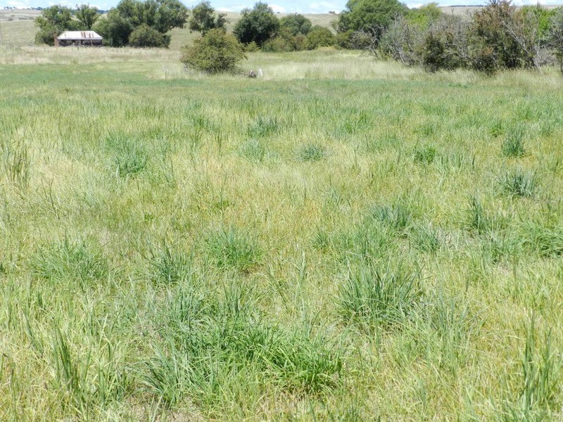 Lot 2 Macarthur Street, Taralga NSW 2580