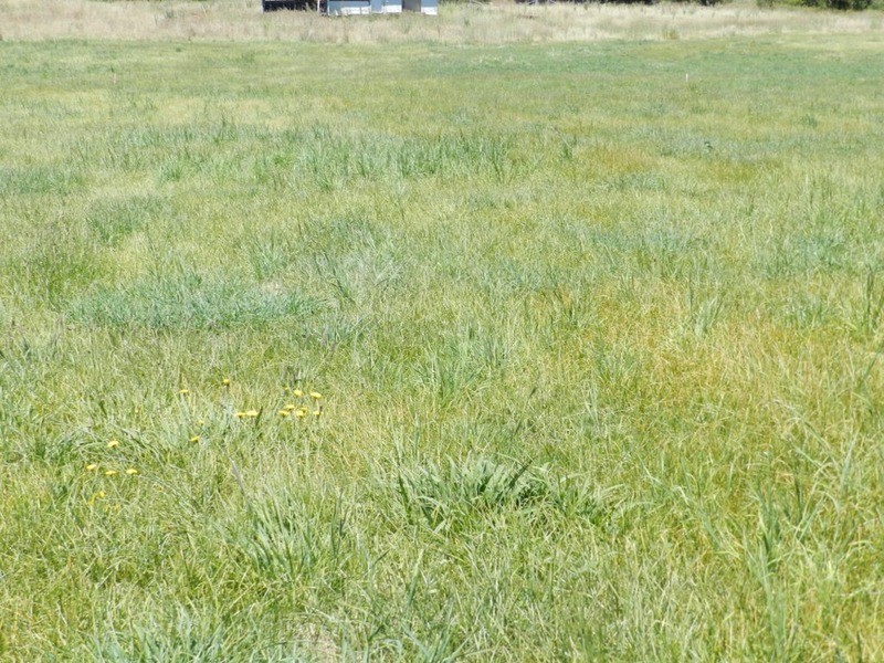 Lot 3 Macarthur  Street, Taralga NSW 2580