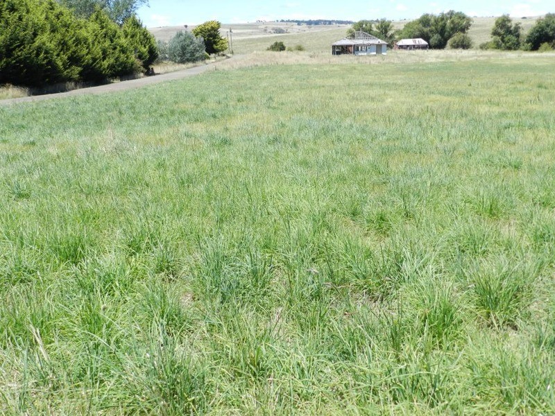 Lot 4 Macarthur Street, Taralga NSW 2580