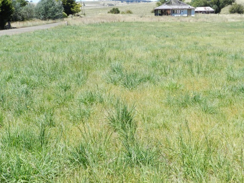 Lot 4 Macarthur Street, Taralga NSW 2580