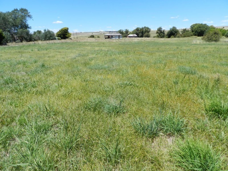 Lot 4 Macarthur Street, Taralga NSW 2580