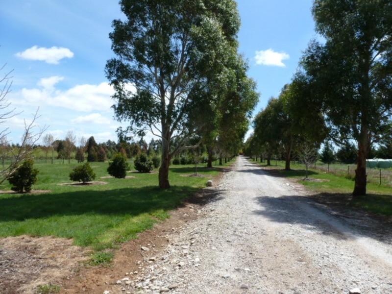 47 North Street, Crookwell NSW 2583