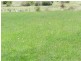16 Martyn  Street, Taralga NSW 2580