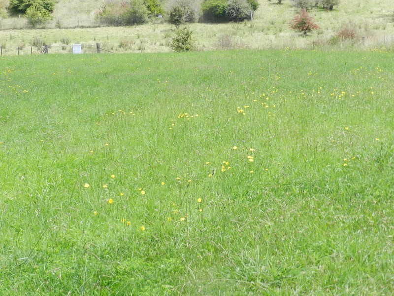 16 Martyn  Street, Taralga NSW 2580