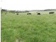 103 Third Creek Road, Crookwell NSW 2583