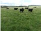 103 Third Creek Road, Crookwell NSW 2583