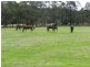 103 Third Creek Road, Crookwell NSW 2583