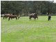 103 Third Creek Road, Crookwell NSW 2583